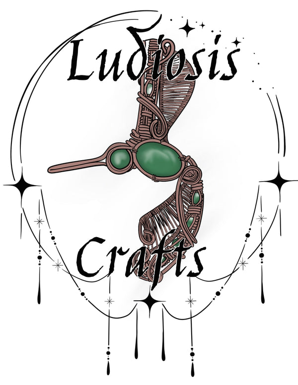 Ludiosis
