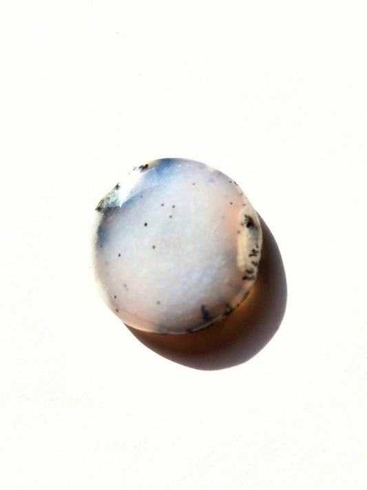 Dendritic Opal 23mm circular cabochon