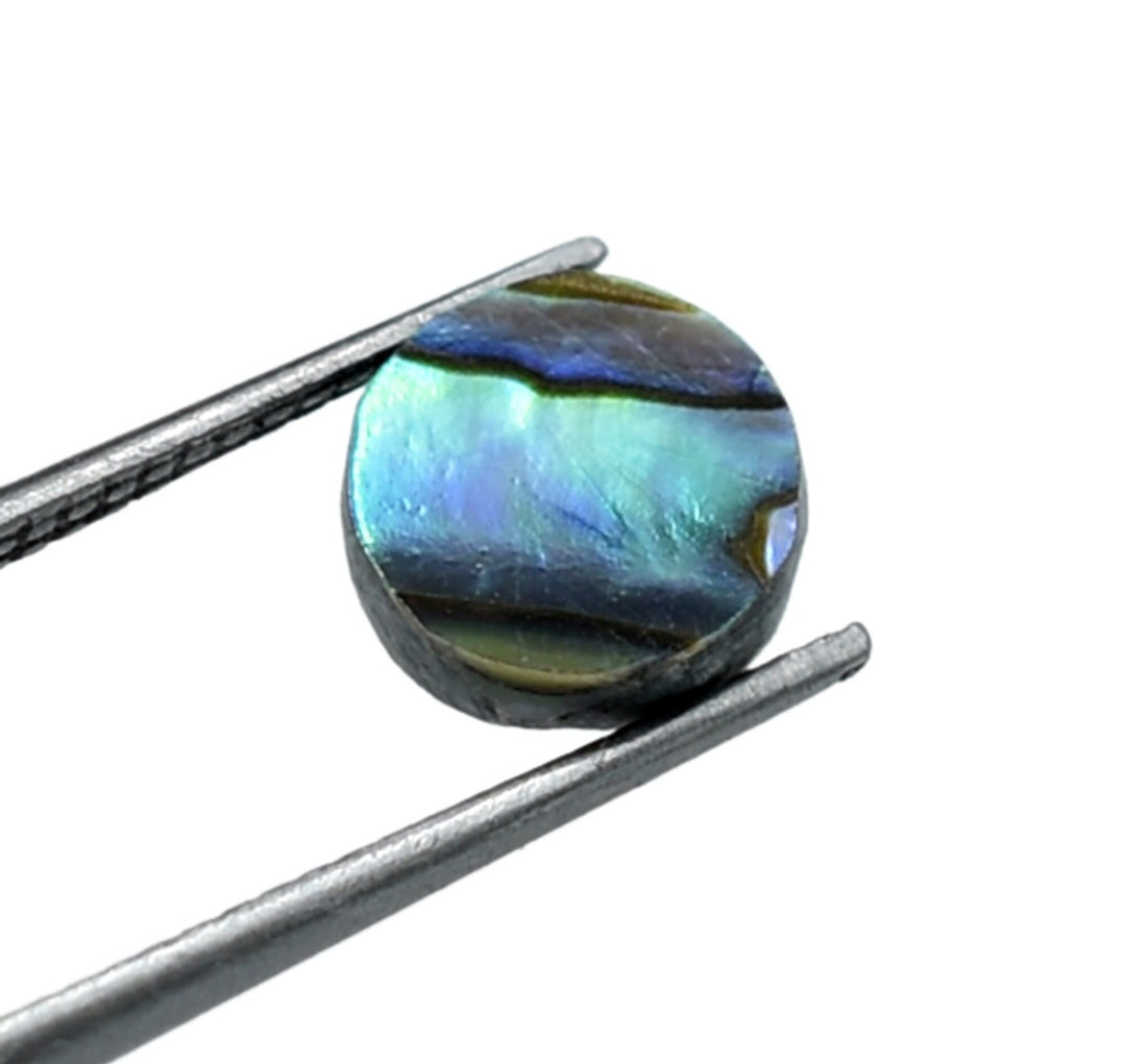 Abalone 6mm flat cabochon - 4pack
