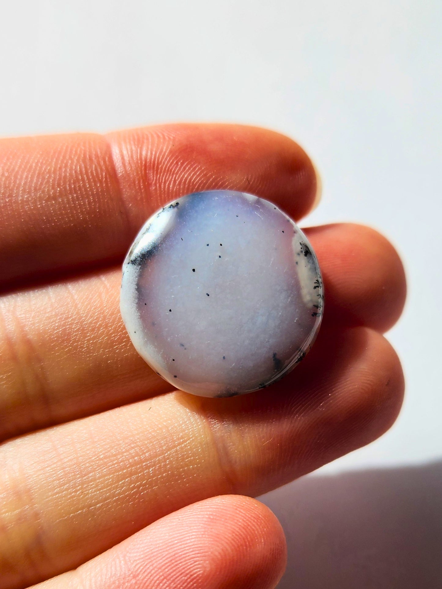 Dendritic Opal 23mm circular cabochon