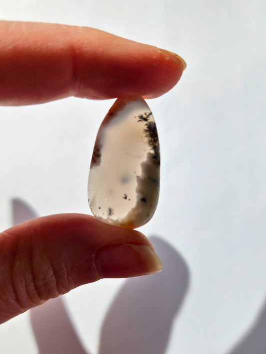 Dendritic Opal teardrop 17mm x 33mm cabochon