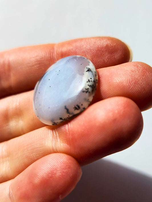 Dendritic Opal 23mm circular cabochon